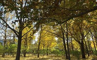 5G+旅游時代，景區(qū)怎么玩？