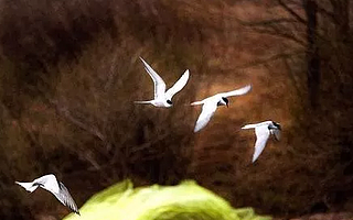 GNSS融合UWB，室内外定位一体化