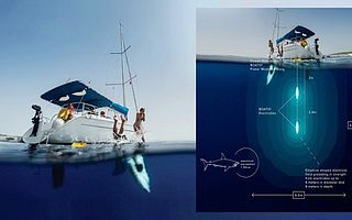 新型BOAT01驅(qū)鯊器用電場(chǎng)使鯊魚遠(yuǎn)離船只和碼頭