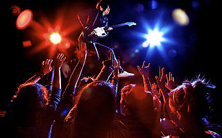 800位明星开出2800家公司，钱真的那么好赚？