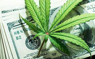 獐子岛的亏本买卖其实大赚一笔，獐子岛连续剧继续上演