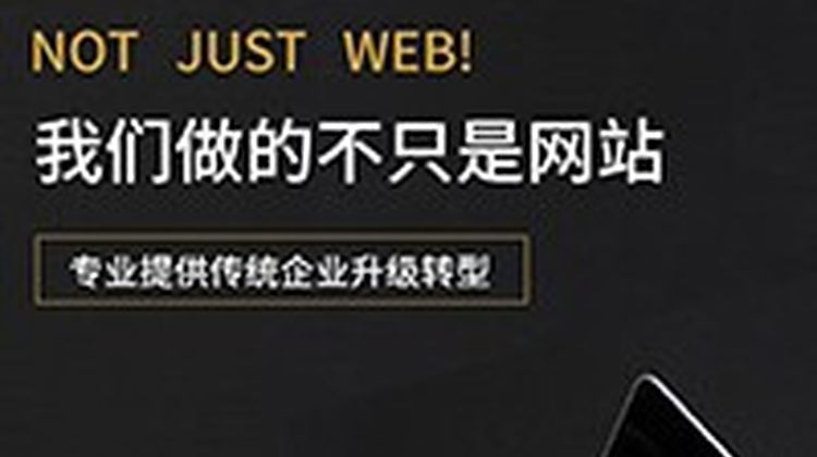 软件定制开发