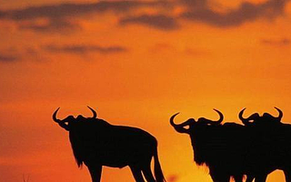 原创 加仓中国一定要坚决！