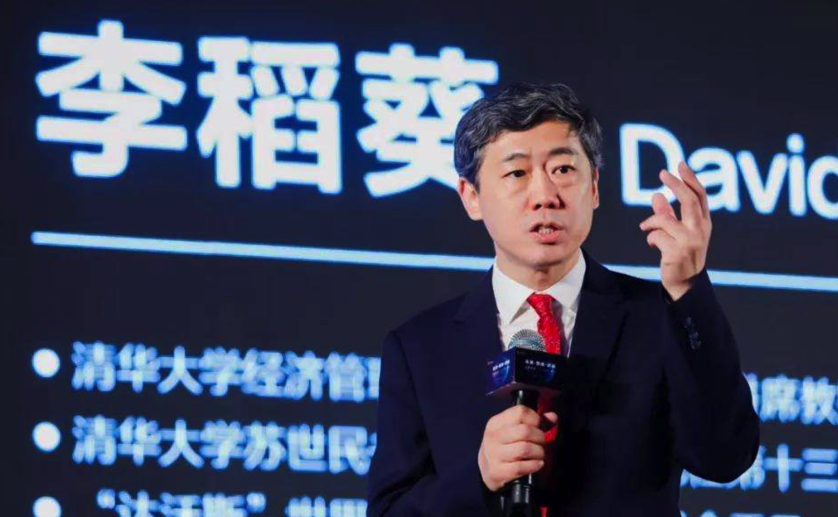 李稻葵：中国的文盲标准很高！