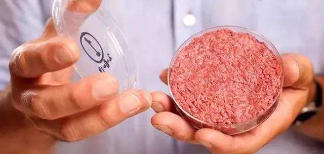 每两星期就会有新人造肉企业出现