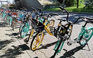 第一批共享单车死于2019