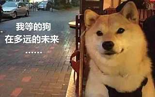 年輕人都不愿意談戀愛了，什么情感洞察才能打動他們？