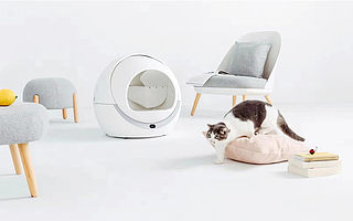 打造寵物智能用品方案，看倍趣科技如何將設計與科技融入人寵生活？