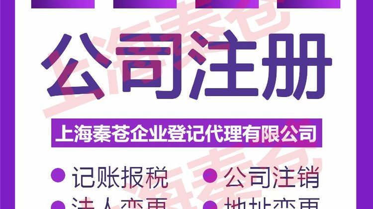 在上海市奉贤区找一家专业财务会计公司怎么收费？代理记账每个月多少钱