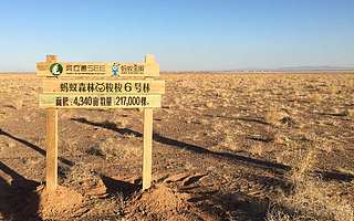 【钛晨报】阿里巴巴发布链上公益计划；WeWork大幅下调IPO估值至250亿美元以下；通用汽车将内置谷歌应用及语音助手