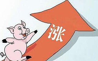 大数据也可应对“猪周期”