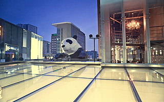 那些逃回成都的年轻人