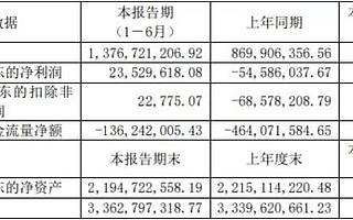 飘不起来的香飘飘