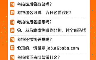 阿里与网易战略合作：20亿美元全资收购考拉，领投云音乐