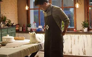 坐拥5100万粉丝的短视频大IP“日食记”，能顺利升级场景化IP么？| 淘榜单