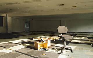 庞大毁于“庞大”：中国4S店之王正在破产