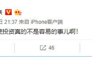 区块链项目公信宝被查封：股东含真格基金，创始人曾从事网贷