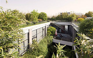 如何成为独角兽？大树下构建新型的企业关系