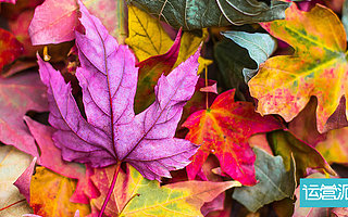 一句话定位主题乐园的品牌差异化