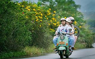 華誼究竟需要什么樣的“田羽生”