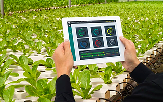 潛力巨大,難點(diǎn)眾多,智慧農(nóng)業(yè)之路該怎么走?