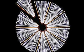 唤醒教育：转机中把握先机