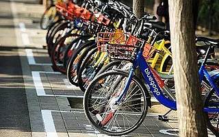 共享单车也得养家