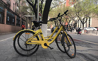 ofo搬离梦开始之地：北大五虎走散 1600万人押金难退