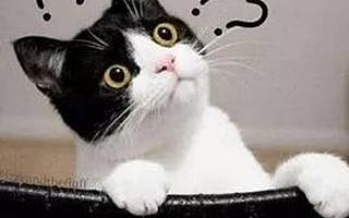 想看什么自己“導(dǎo)演”，遠(yuǎn)程實(shí)景教學(xué)！5G生活居然能實(shí)現(xiàn)這些！