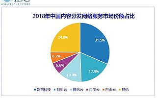 IDC：CDN市場快速增長，白山表現(xiàn)良好位列前五
