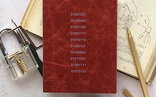 新興企業(yè)的大數(shù)據(jù)測(cè)試視角