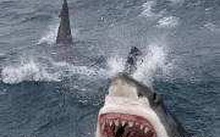 iOS 13.1 正式版终于来了！不更新，你手机就废了一半