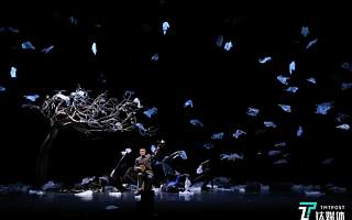 当科技遇上艺术：Verity 无人机如何融入舞台表演