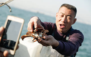 直播带货“贴地飞行”