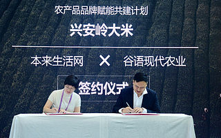 本来扶贫：聚力上游供应链设计 打造订单式农业