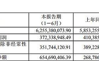 現(xiàn)代制藥上半年凈利不到4億銷售費(fèi)花20億 兩副總辭職