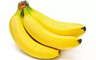 成功率达到90％！人工智能辅助香蕉果农监测病虫害 | 少年科学粉