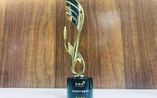 “每日瑜伽”斬獲萊萌獎(jiǎng)“年度優(yōu)秀IP運(yùn)營公司”殊榮