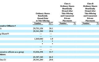 网易有道招股书:上半年营收5.5亿 拟融资超3亿美元