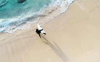 为了盯住神出鬼没的鳄鱼，澳大利亚部署了100架AI无人机