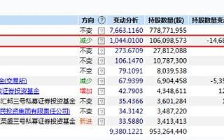 盈亚龙头们的牛市狂欢，2019外资将重演2016“险资举牌”？