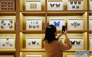 新华网—花香书香金秋飘香