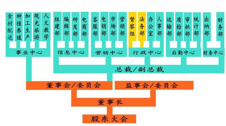 一支专业性的开发公司/软件开发/网站建设/小程序开发/SEO网络推广/APP定制开发