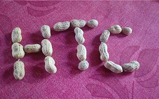 HTC已停止智能手机硬件创新：寻觅5G终端机会