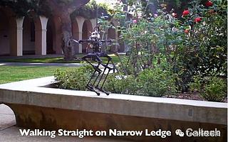 看双足机器人如何借助无人机螺旋桨保持平衡并旋转？