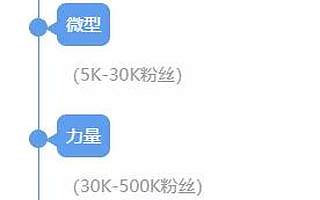 海外網紅營銷必須知道的“秘密”