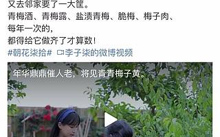 一周流水超千万！争议不断的网红李子柒，贩卖的是理想主义的世外桃源