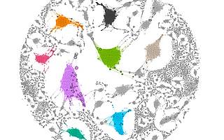 60多個有用的數(shù)據(jù)可視化圖形庫