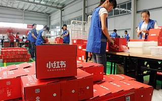 “翻车”2个月的小红书，她还好吗？