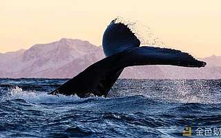 主力異動 巨鯨轉賬13180枚比特幣 價值8億拋售還是行情要反彈？